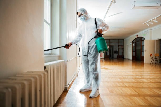 Best Pest Prevention Services  in Snowflake, AZ